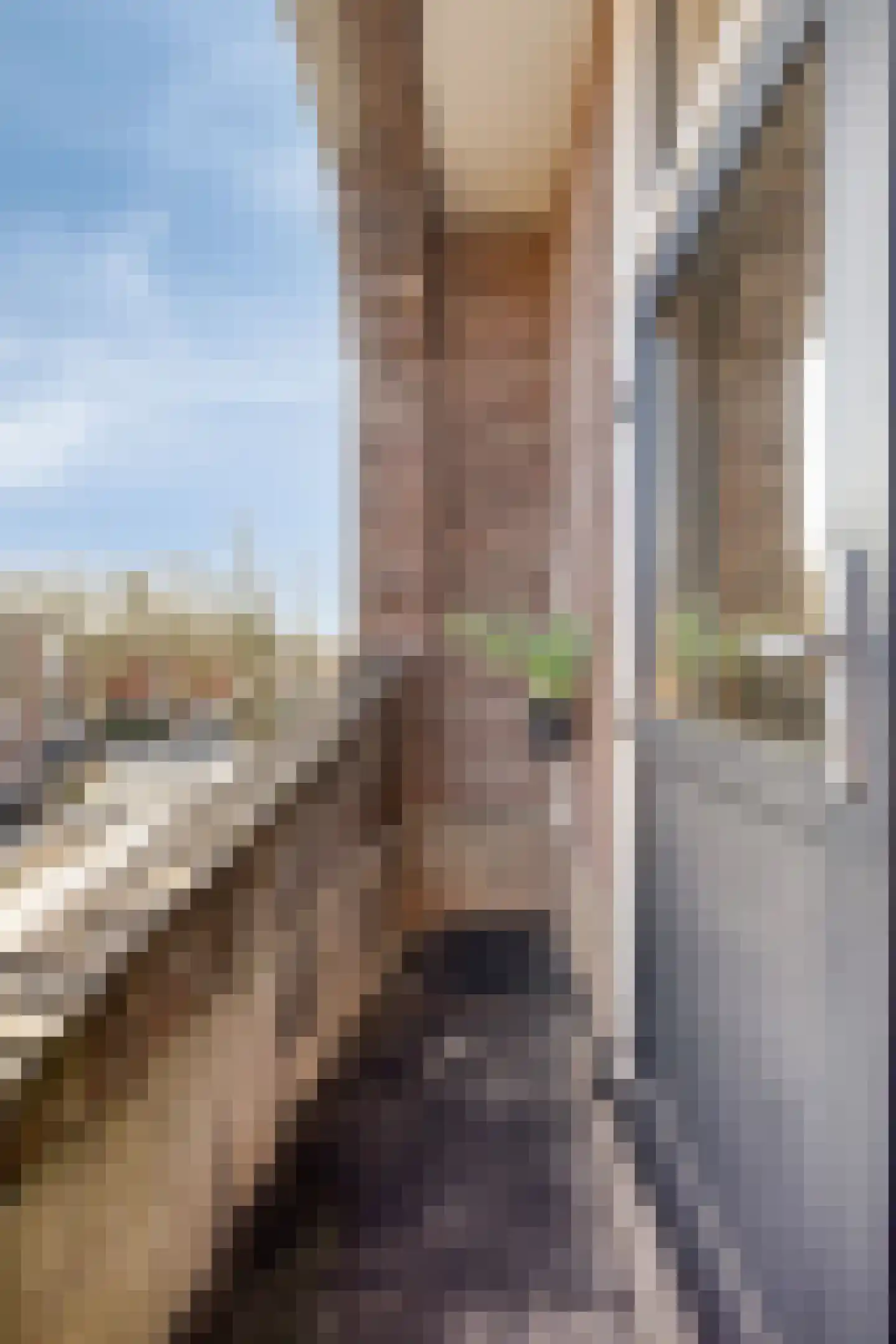 Koninginnelaan 24 b Groningen thumbnail 12