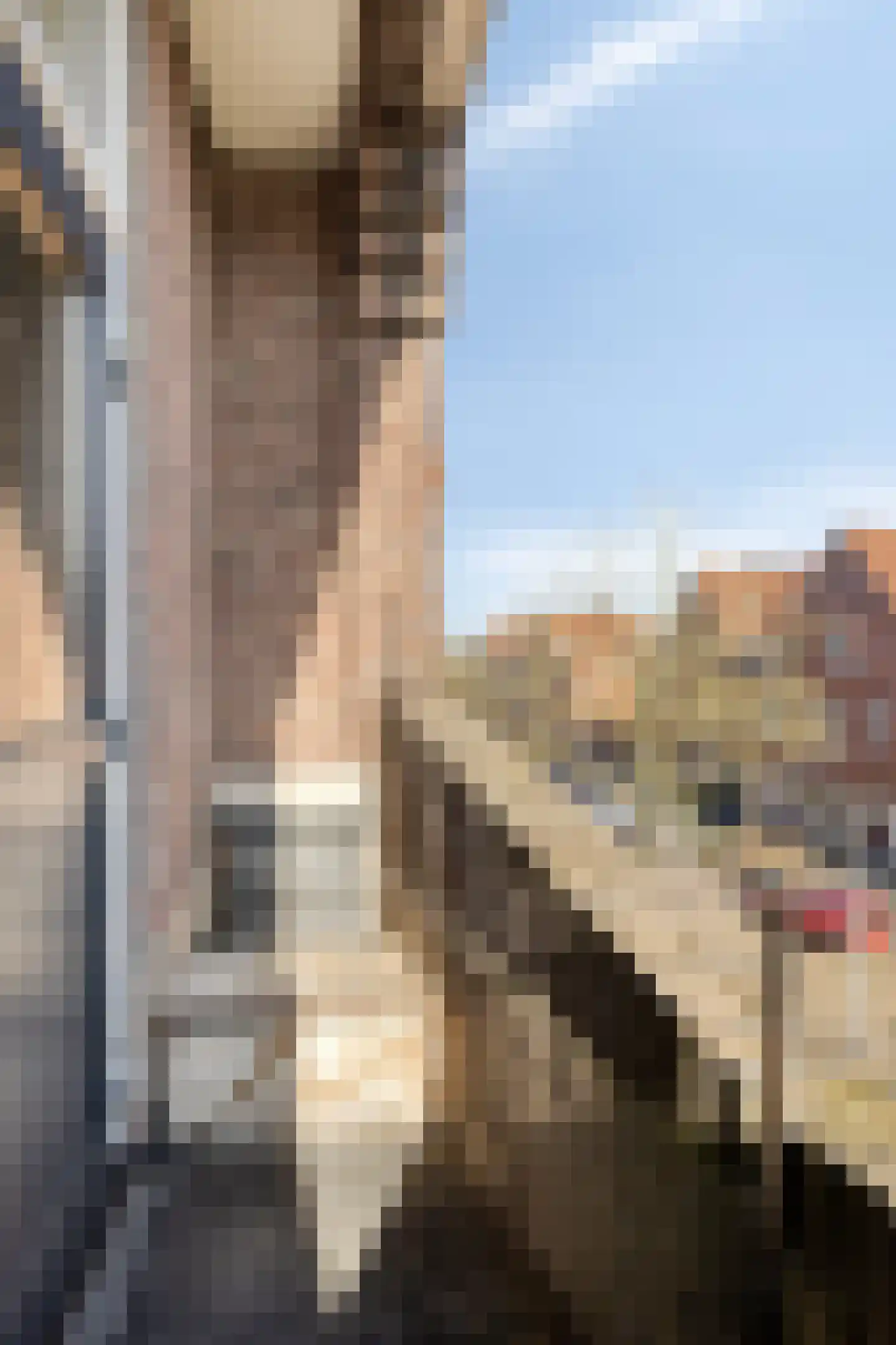 Koninginnelaan 24 b Groningen thumbnail 13