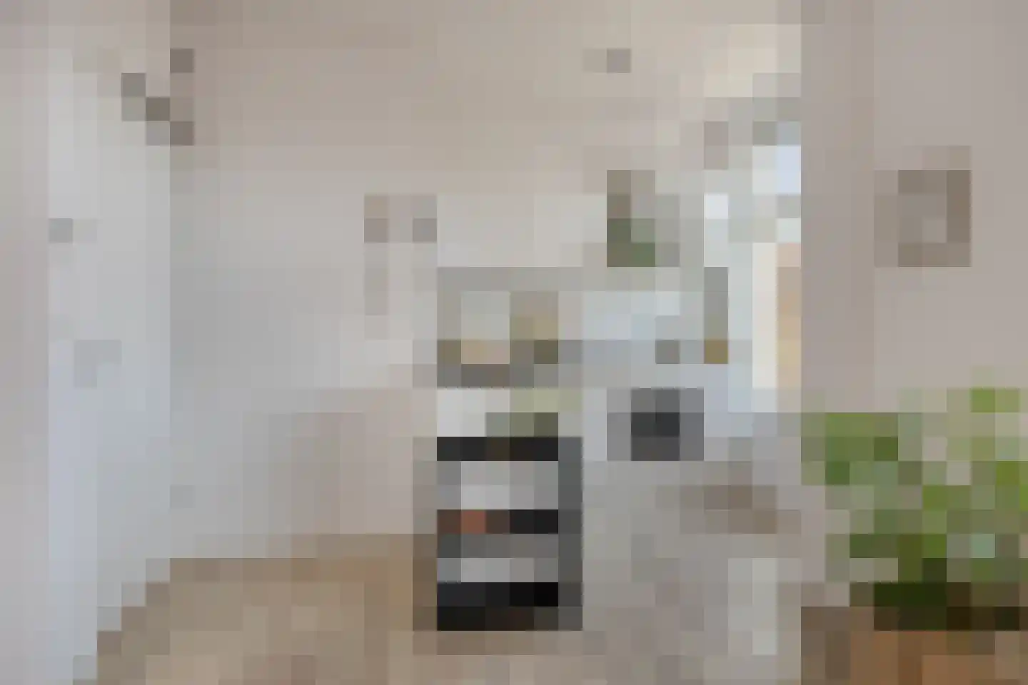 Koninginnelaan 24 b Groningen thumbnail 15