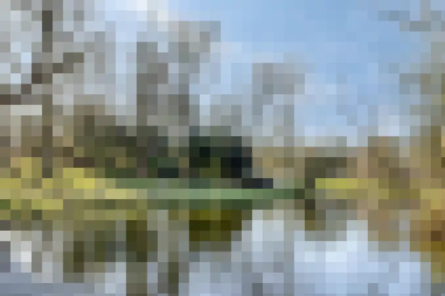 Koninginnelaan 24 b Groningen thumbnail 34