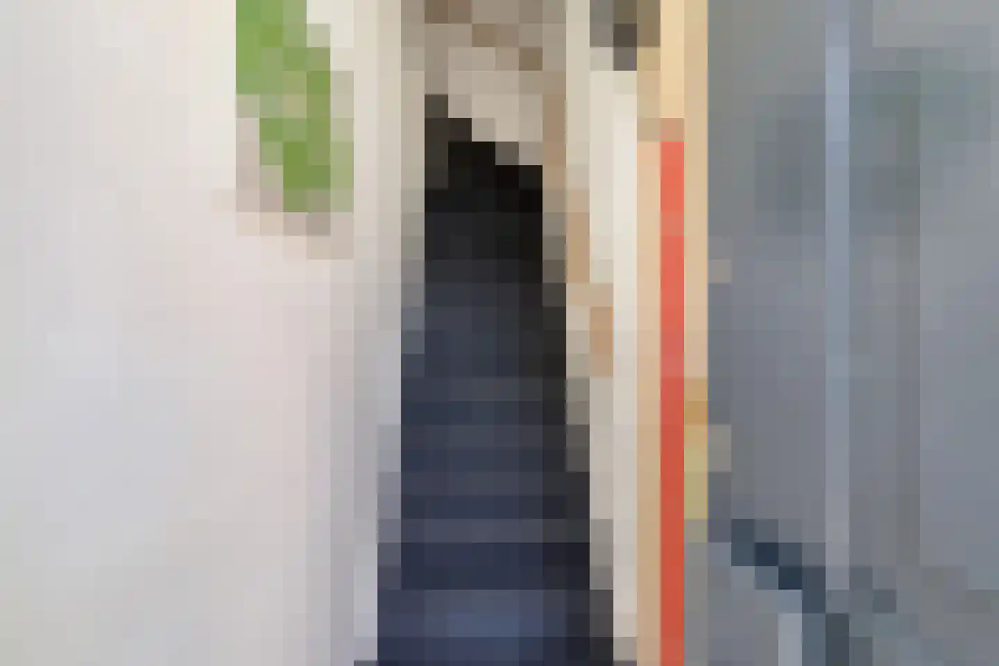 Koninginnelaan 24 b Groningen thumbnail 4