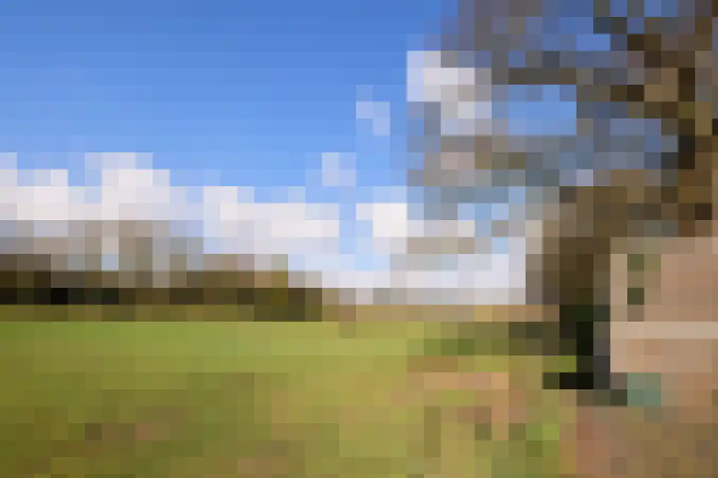 Koninginnelaan 24 C Soest thumbnail 11