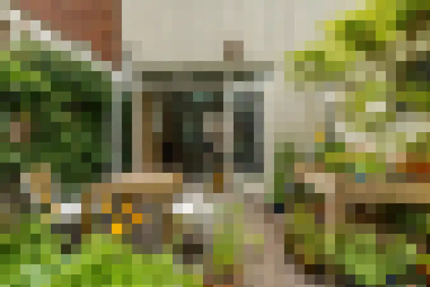 Koninginnelaan 27 Groningen thumbnail 28
