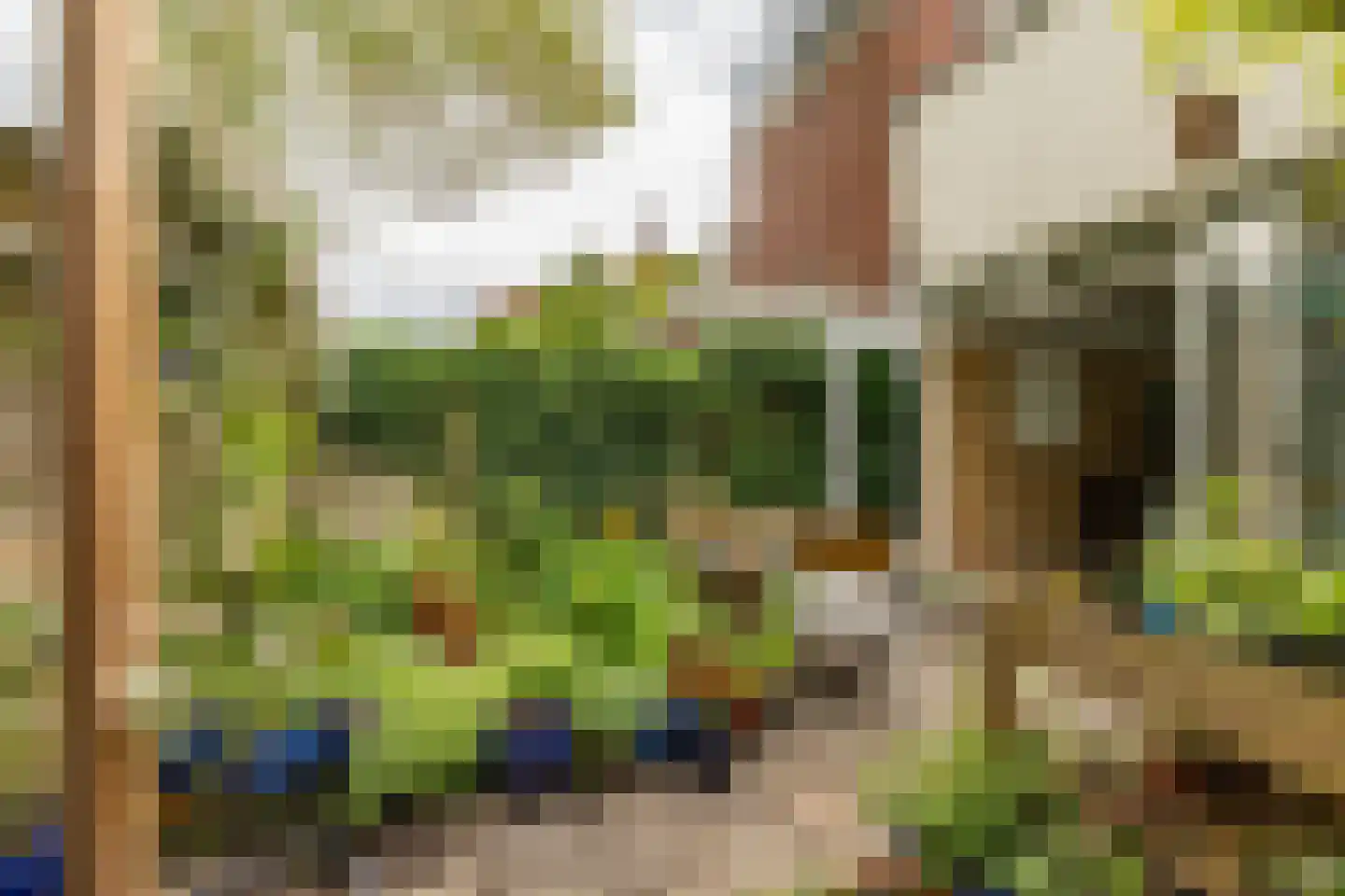 Koninginnelaan 27 Groningen thumbnail 30