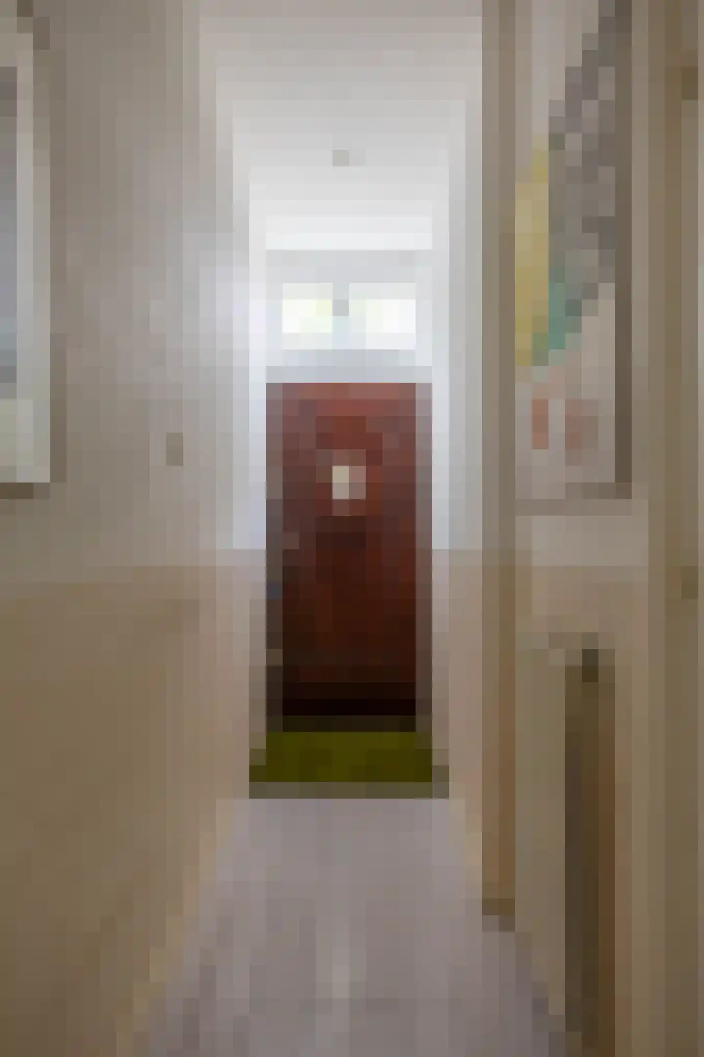 Koninginnelaan 27 Groningen thumbnail 5