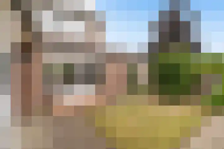 Koninginnelaan 28 Poortugaal thumbnail 32