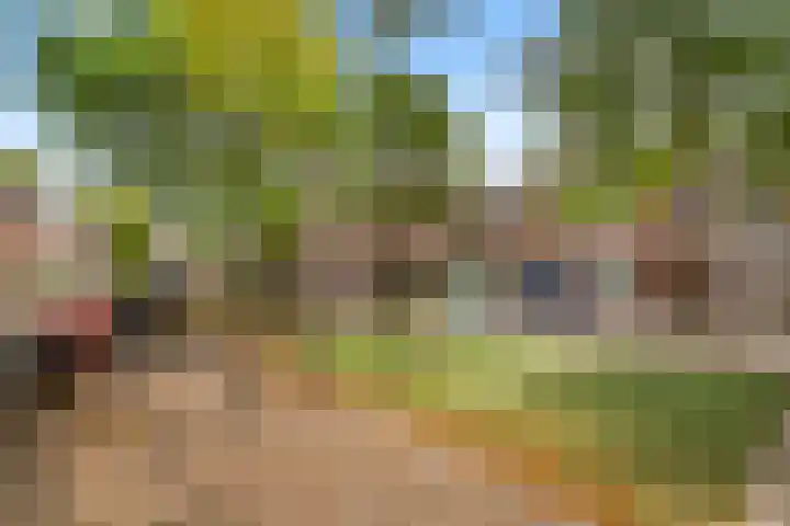 Koninginnelaan 28 Poortugaal thumbnail 36