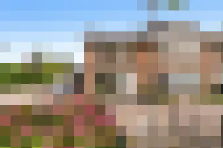 Koninginnelaan 28 Poortugaal thumbnail 43