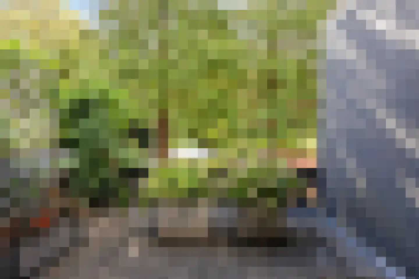 Koninginnelaan 29 Soest thumbnail 25