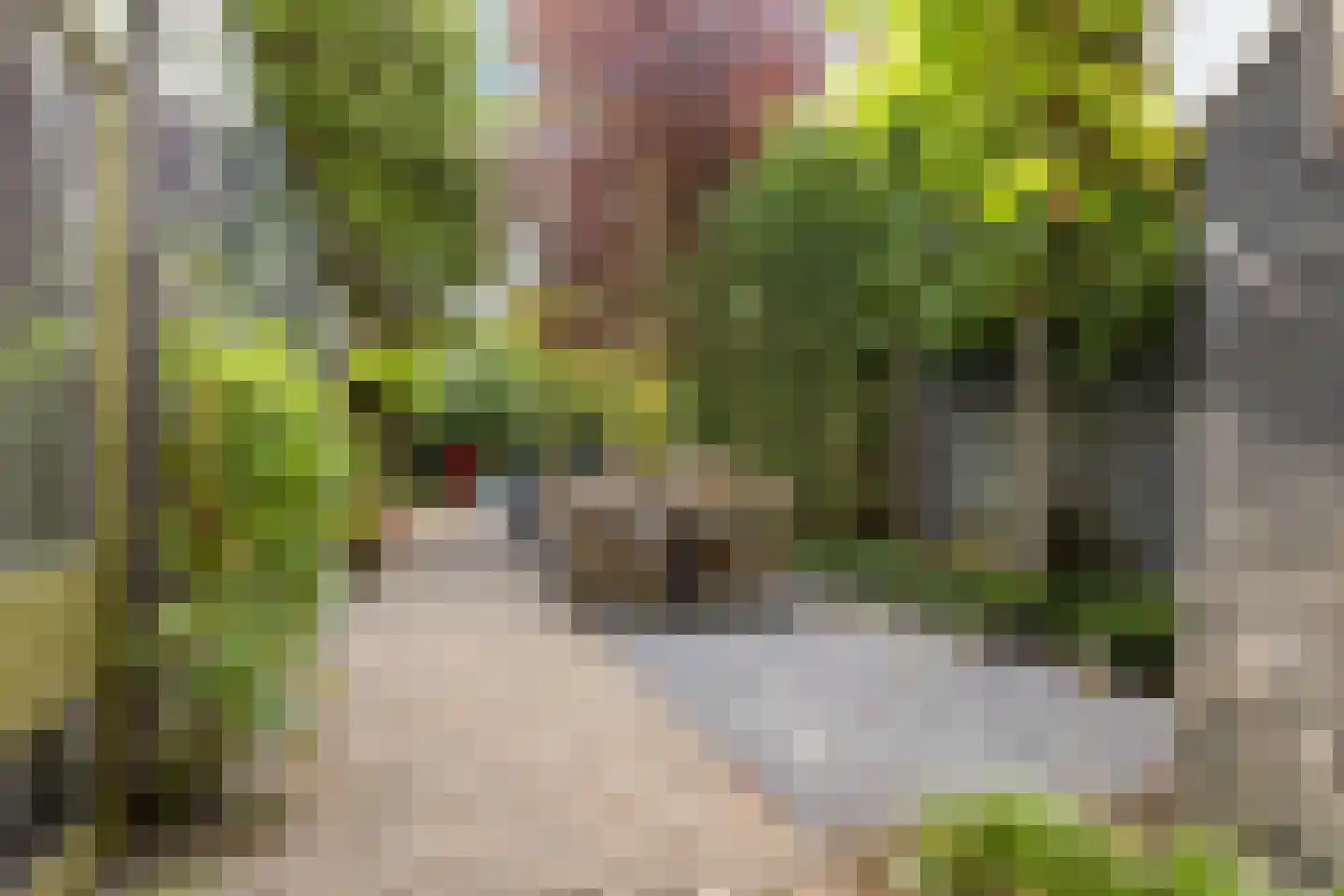 Koninginnelaan 29 Soest thumbnail 34