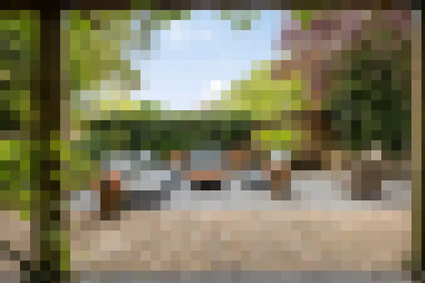 Koninginnelaan 29 Soest thumbnail 38