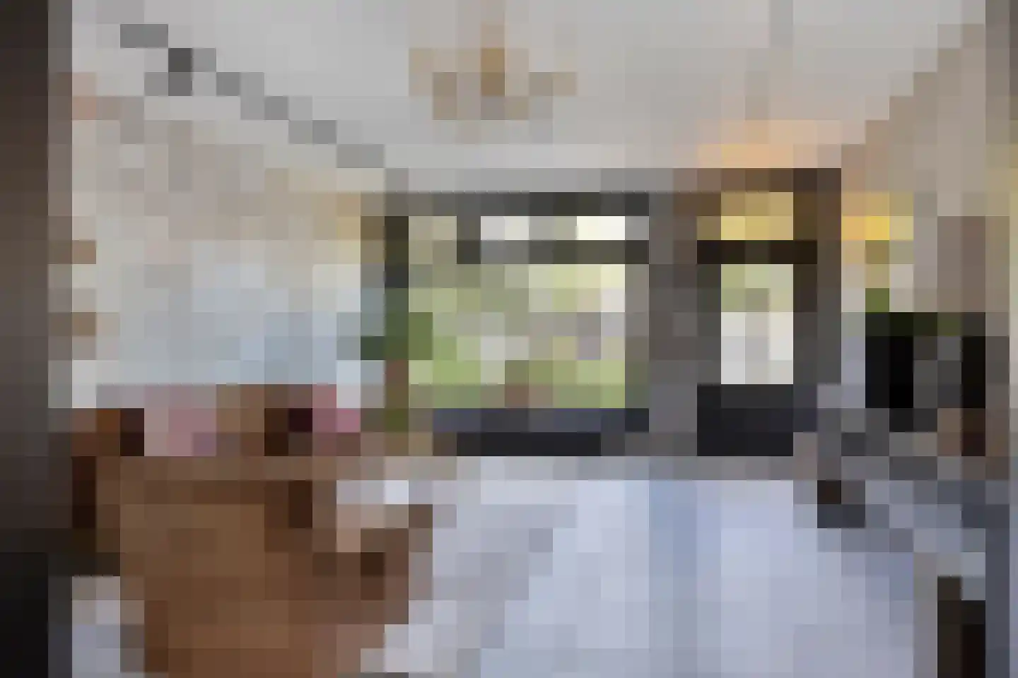 Koninginnelaan 29 Soest thumbnail 4