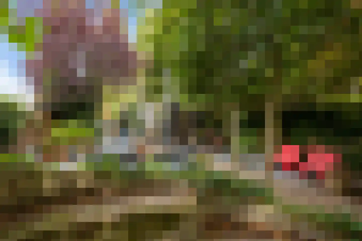 Koninginnelaan 29 Soest thumbnail 40
