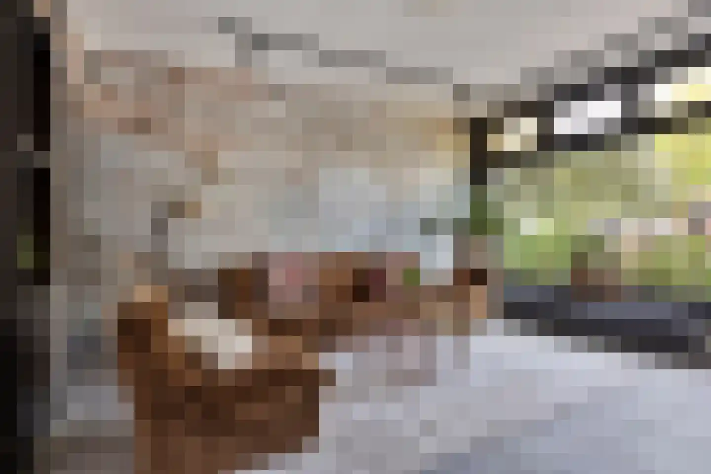 Koninginnelaan 29 Soest thumbnail 5