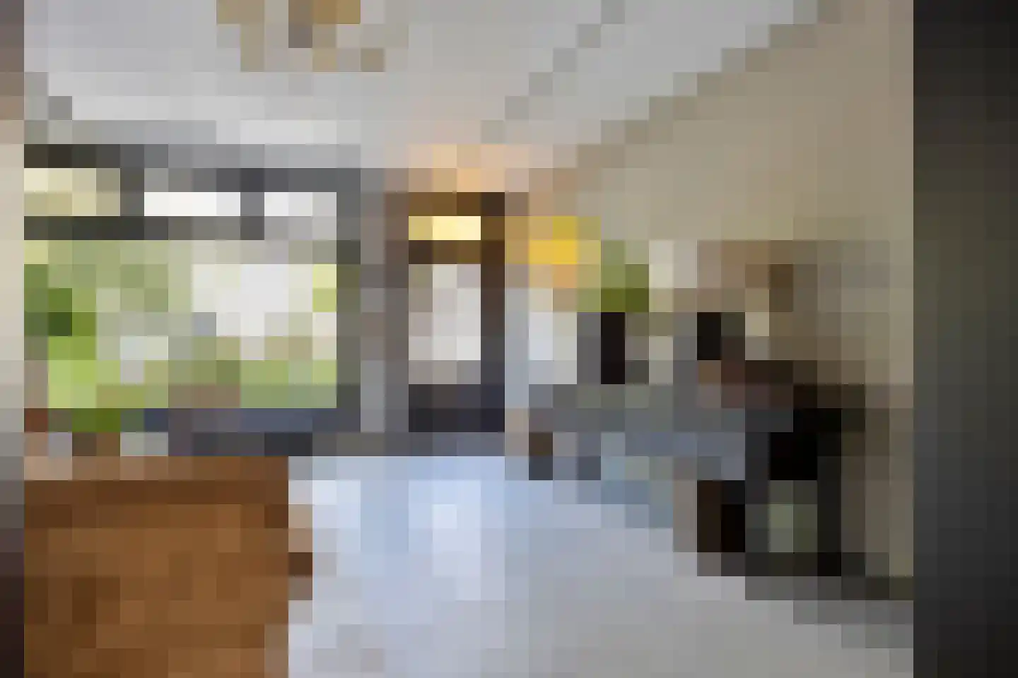 Koninginnelaan 29 Soest thumbnail 6