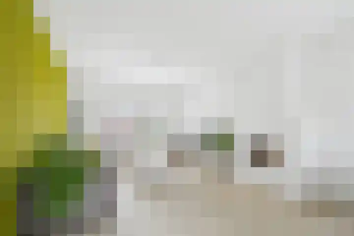 Koninginnelaan 30 Terneuzen thumbnail 11