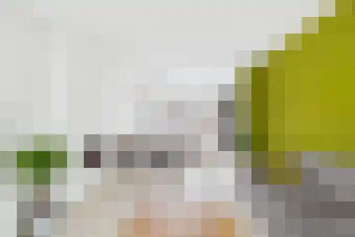 Koninginnelaan 30 Terneuzen thumbnail 12