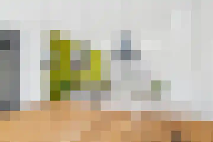 Koninginnelaan 30 Terneuzen thumbnail 13