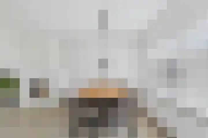 Koninginnelaan 30 Terneuzen thumbnail 14