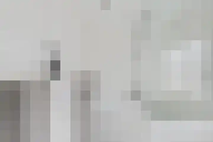 Koninginnelaan 30 Terneuzen thumbnail 26