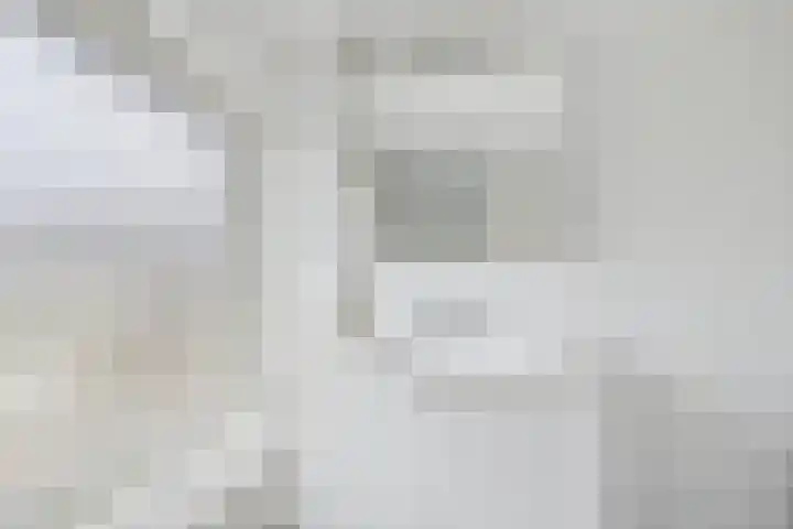 Koninginnelaan 30 Terneuzen thumbnail 28