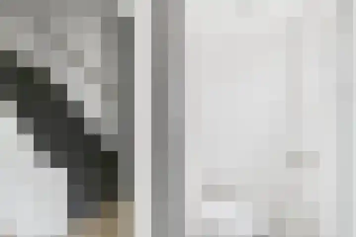 Koninginnelaan 30 Terneuzen thumbnail 8