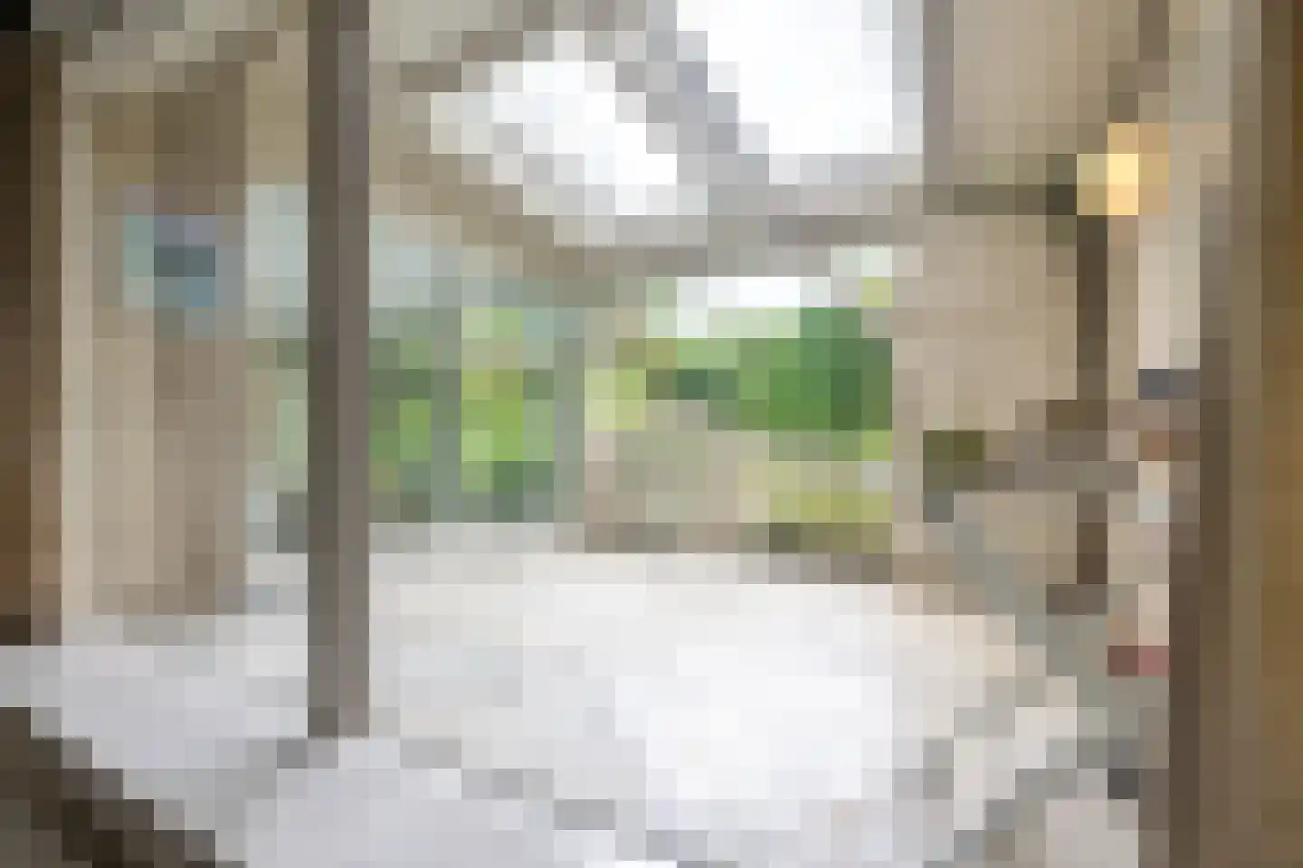 Koninginnelaan 31 Doetinchem thumbnail 15