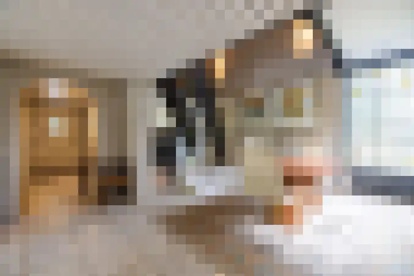 Koninginnelaan 31 Doetinchem thumbnail 18