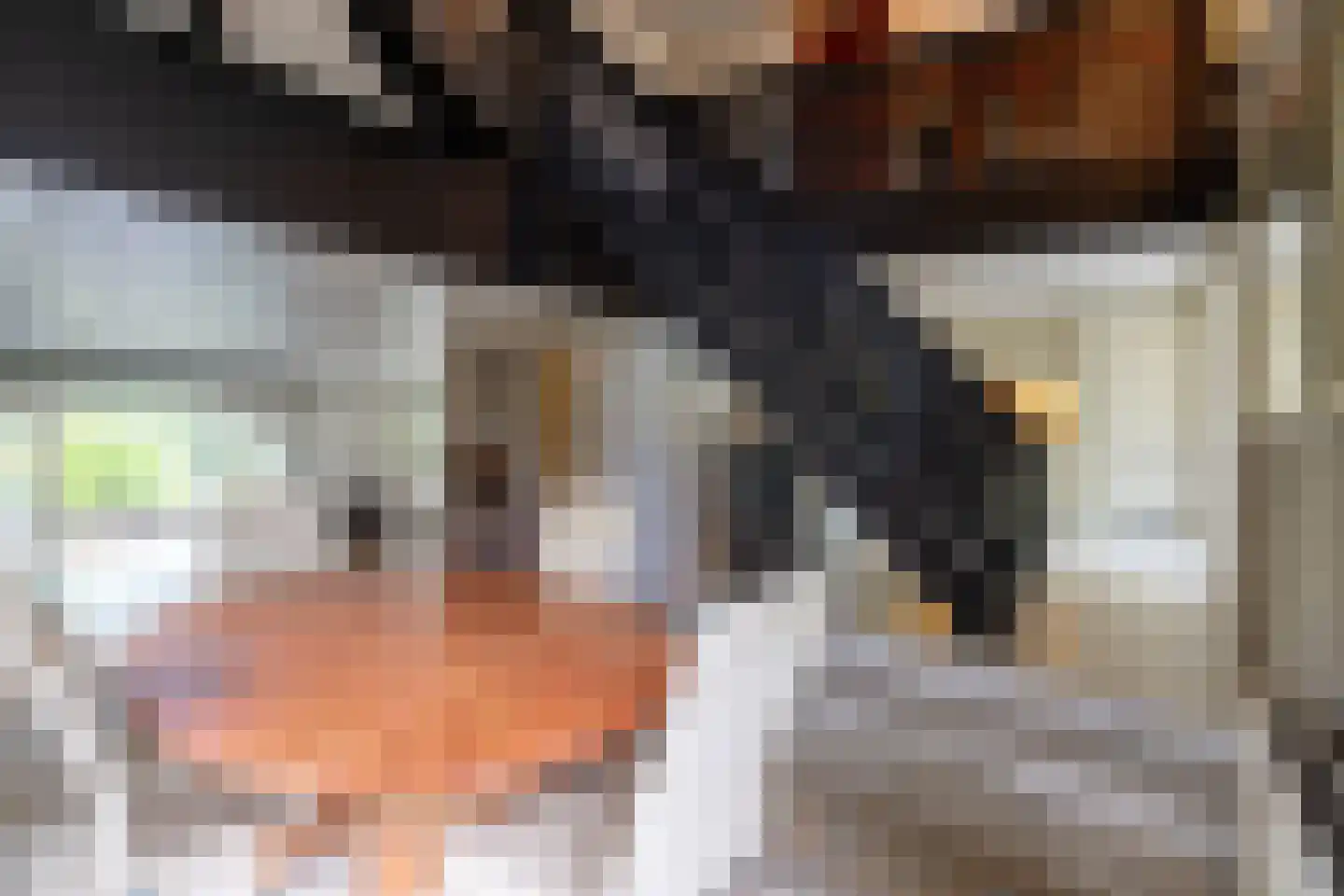 Koninginnelaan 31 Doetinchem thumbnail 19