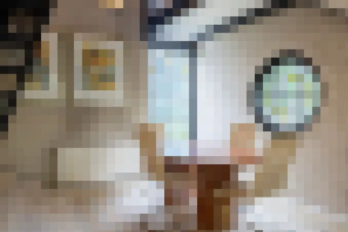 Koninginnelaan 31 Doetinchem thumbnail 21