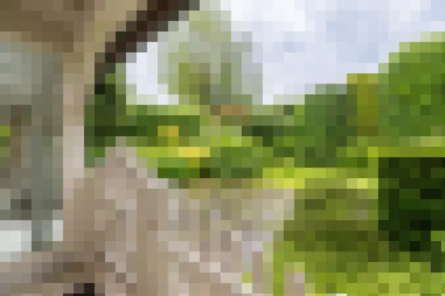 Koninginnelaan 31 Doetinchem thumbnail 35