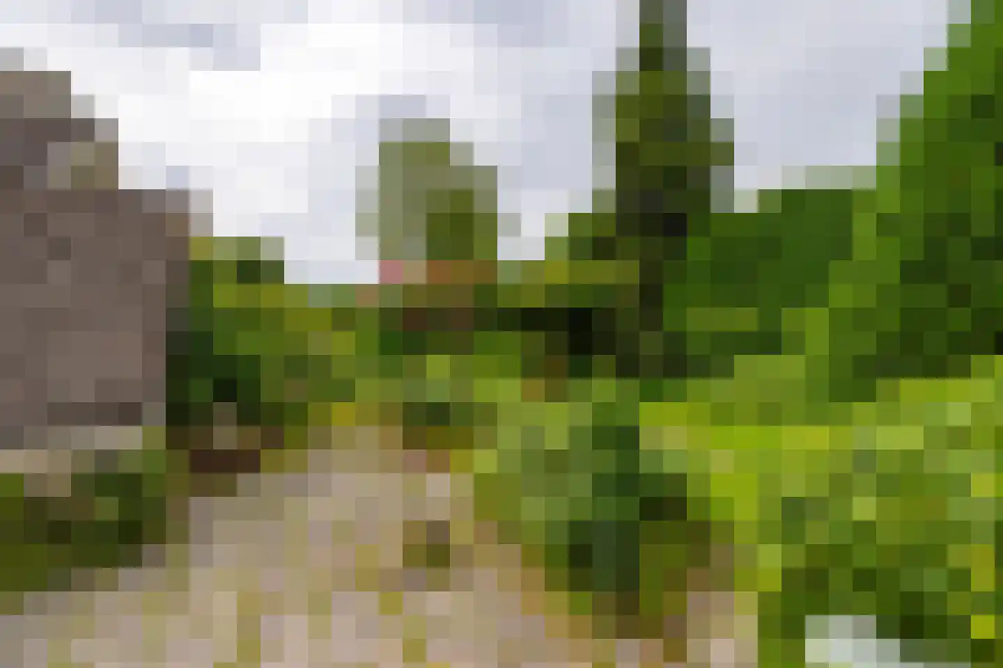 Koninginnelaan 31 Doetinchem thumbnail 38