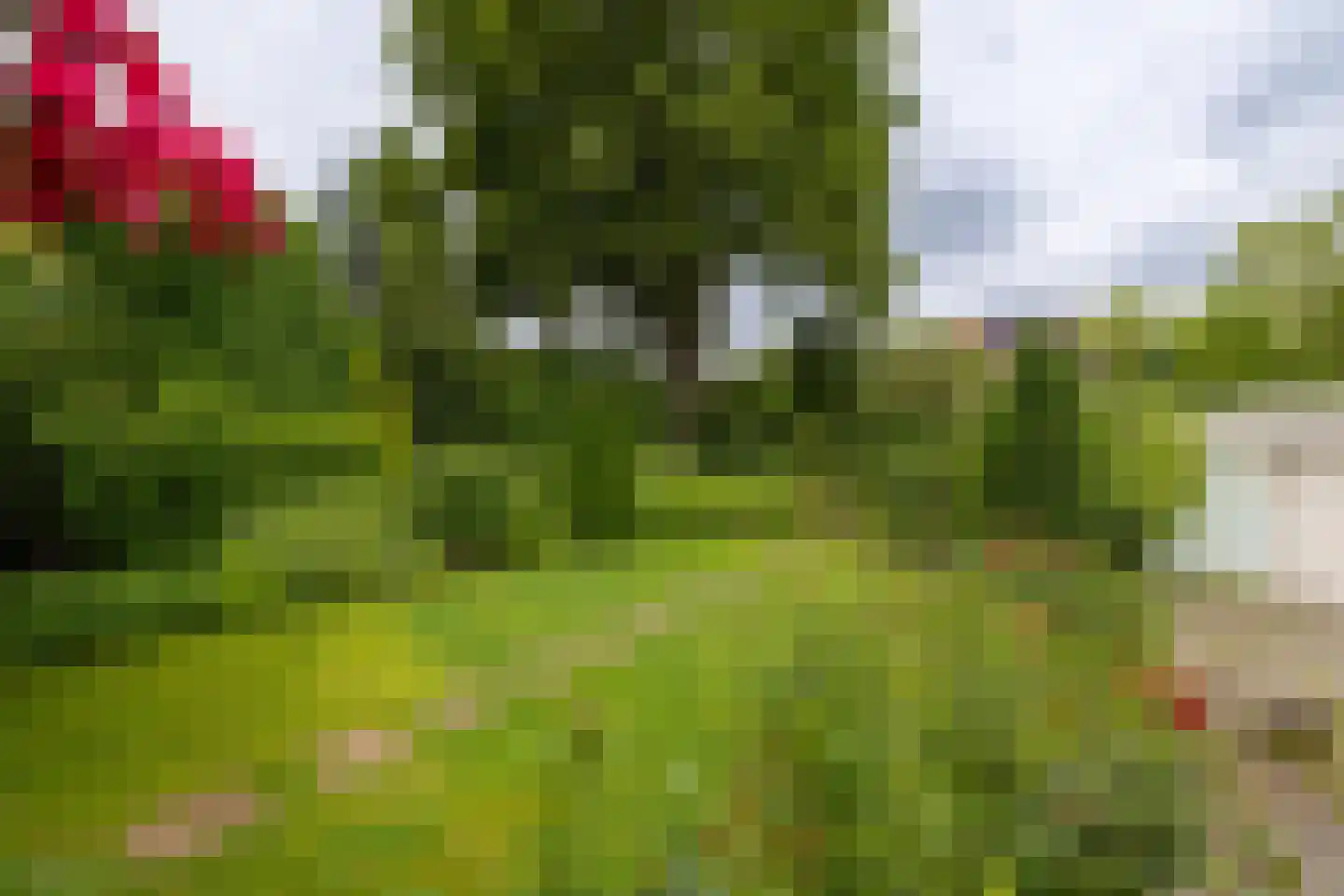 Koninginnelaan 31 Doetinchem thumbnail 39