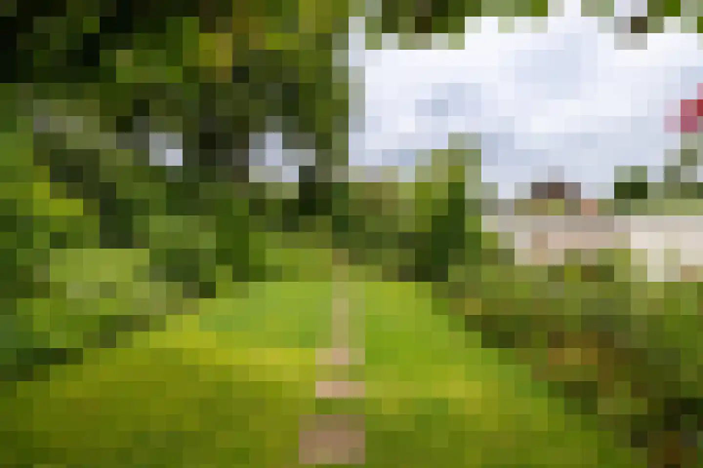 Koninginnelaan 31 Doetinchem thumbnail 40