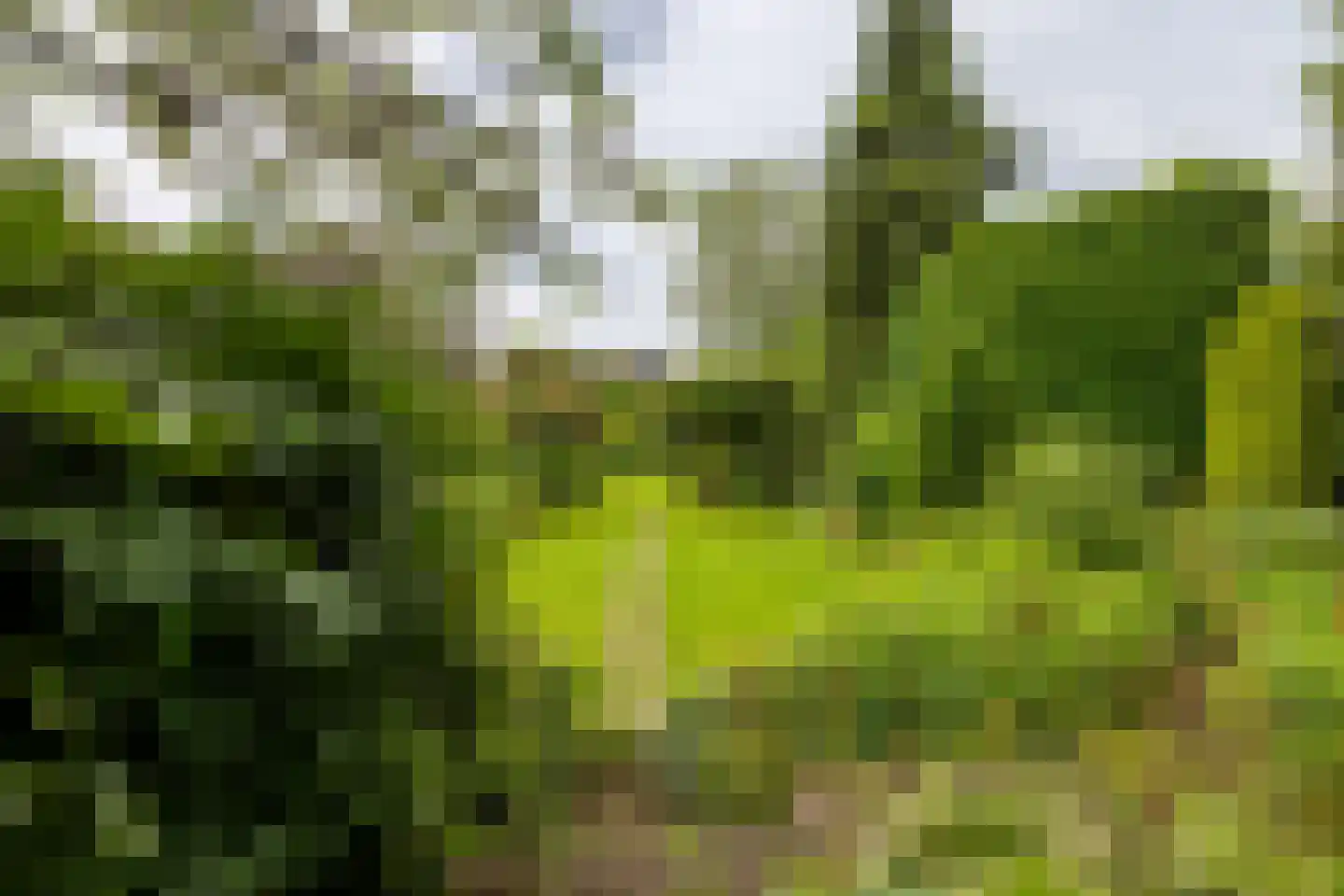 Koninginnelaan 31 Doetinchem thumbnail 41