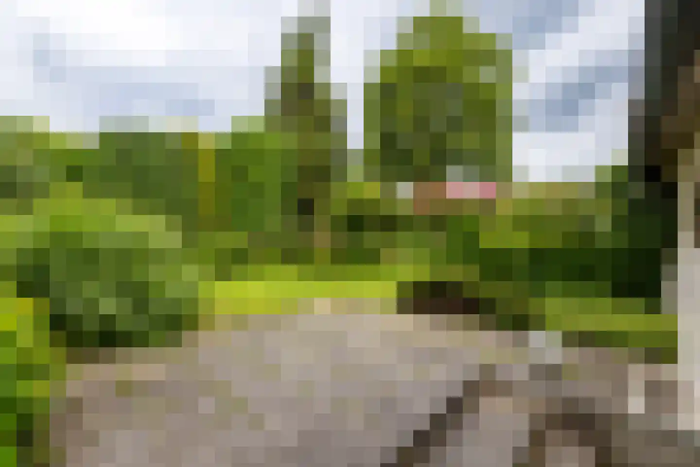Koninginnelaan 31 Doetinchem thumbnail 42