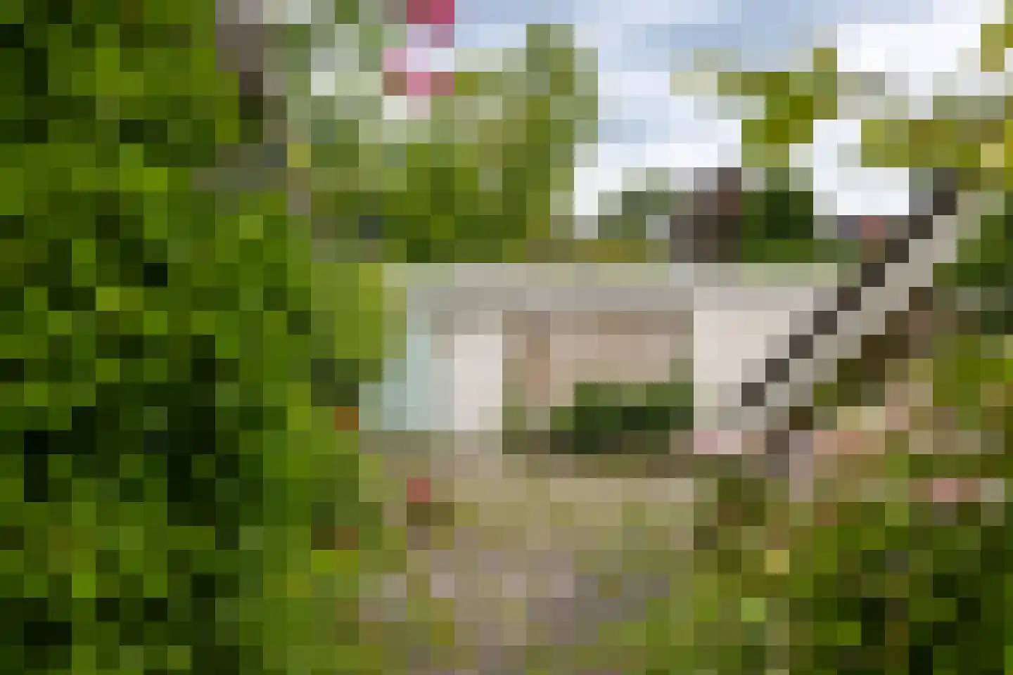 Koninginnelaan 31 Doetinchem thumbnail 43