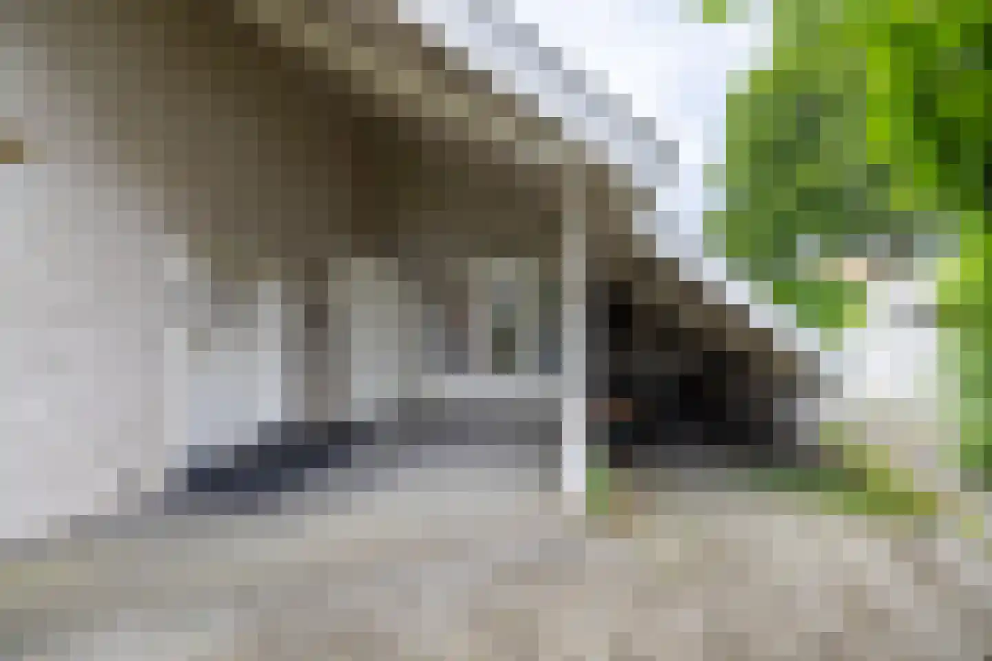 Koninginnelaan 31 Doetinchem thumbnail 49