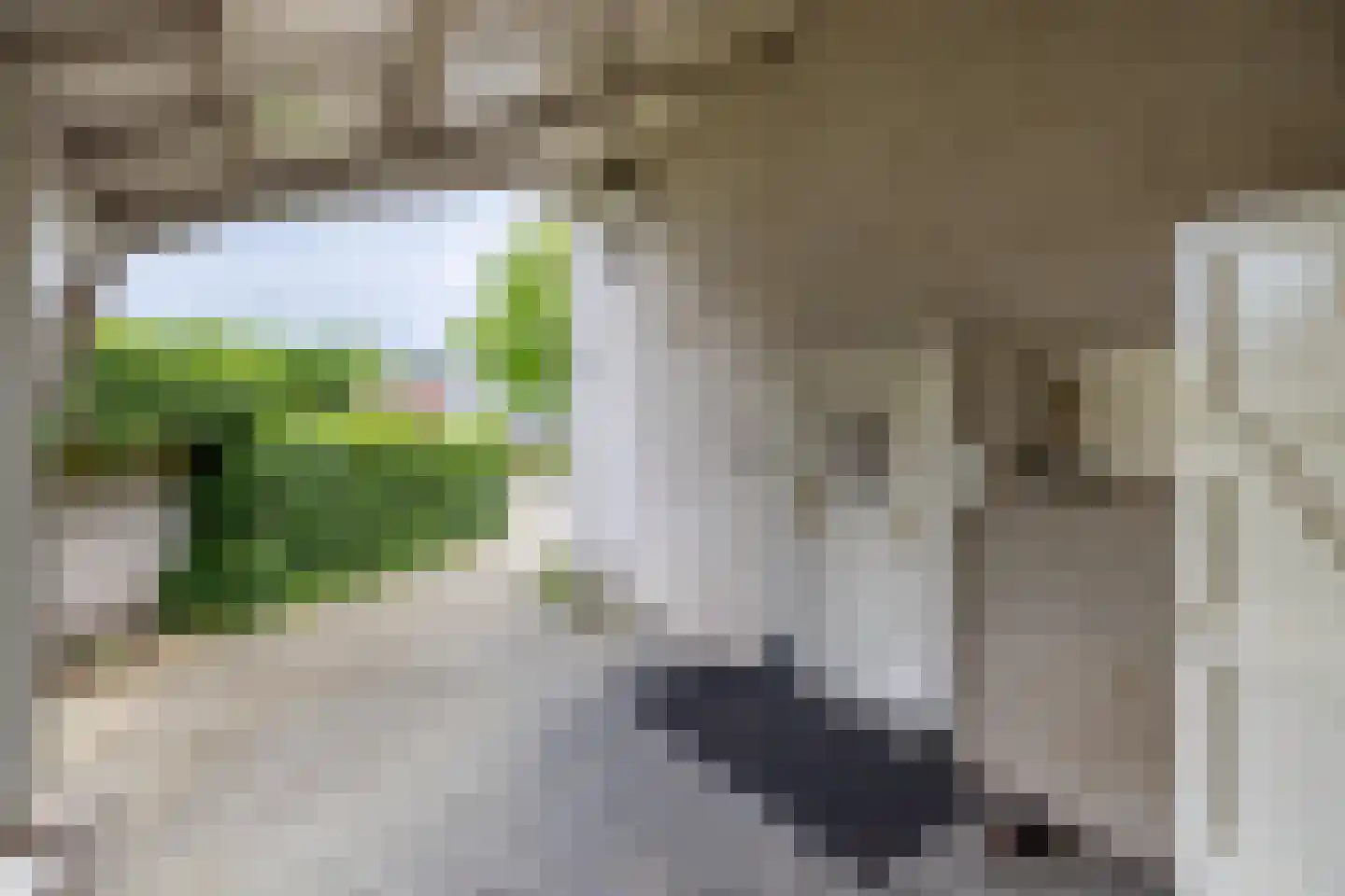 Koninginnelaan 31 Doetinchem thumbnail 50