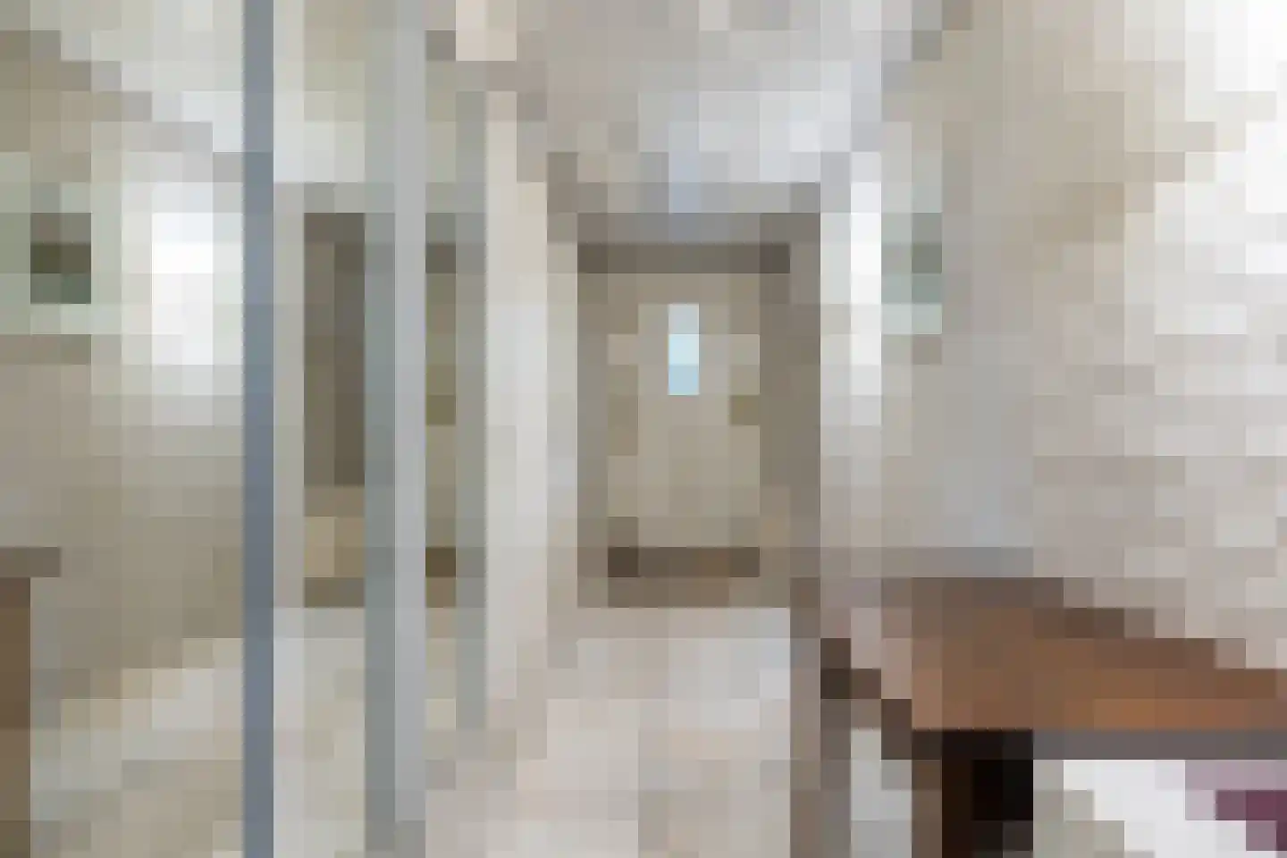 Koninginnelaan 31 Doetinchem thumbnail 51