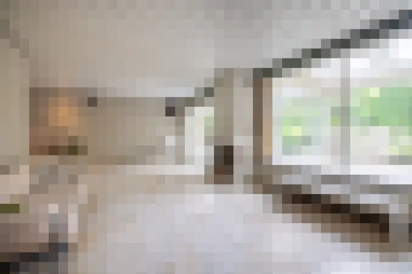 Koninginnelaan 31 Doetinchem thumbnail 6