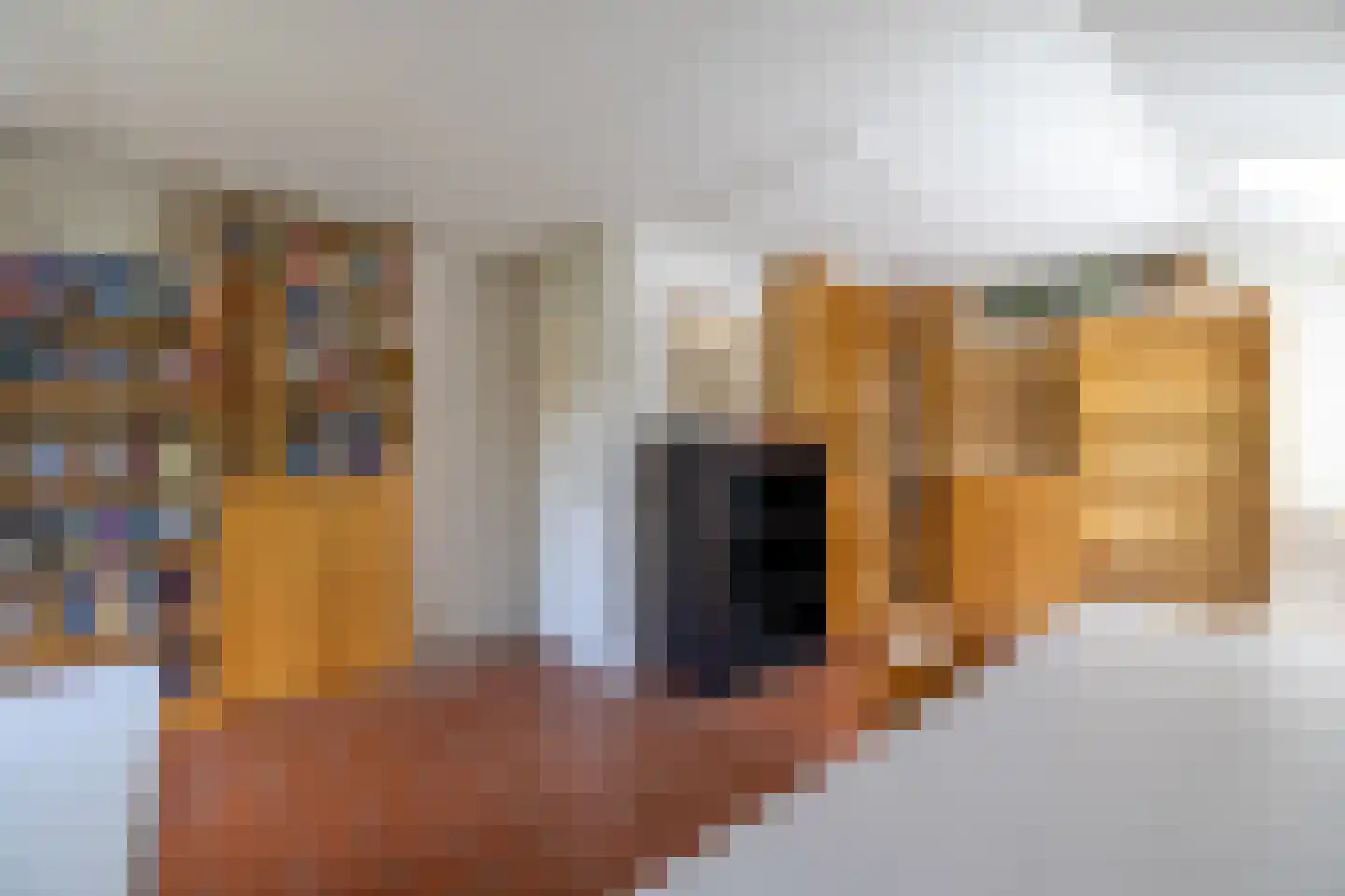 Koninginnelaan 31 Doetinchem thumbnail 61
