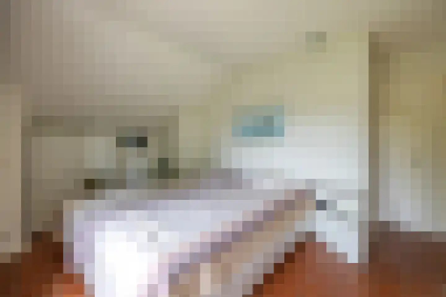 Koninginnelaan 31 Doetinchem thumbnail 77