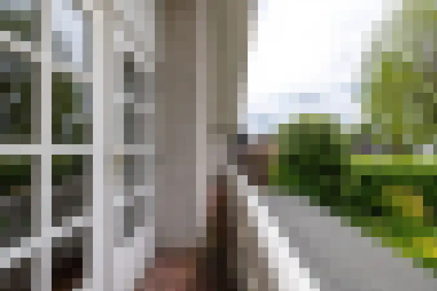 Koninginnelaan 31 Doetinchem thumbnail 81