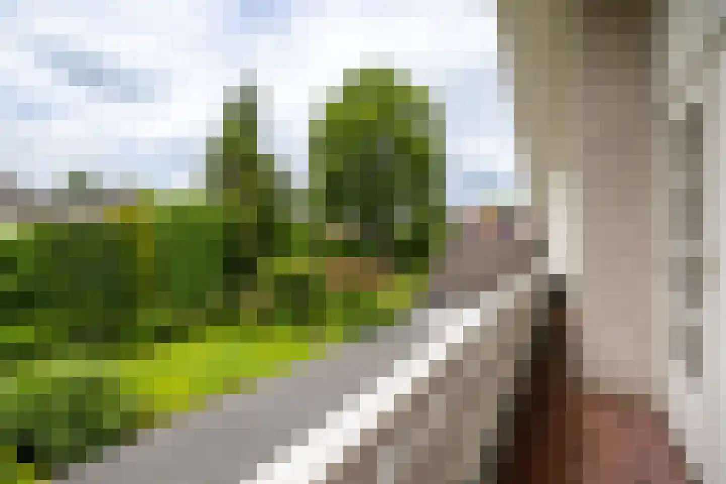 Koninginnelaan 31 Doetinchem thumbnail 82