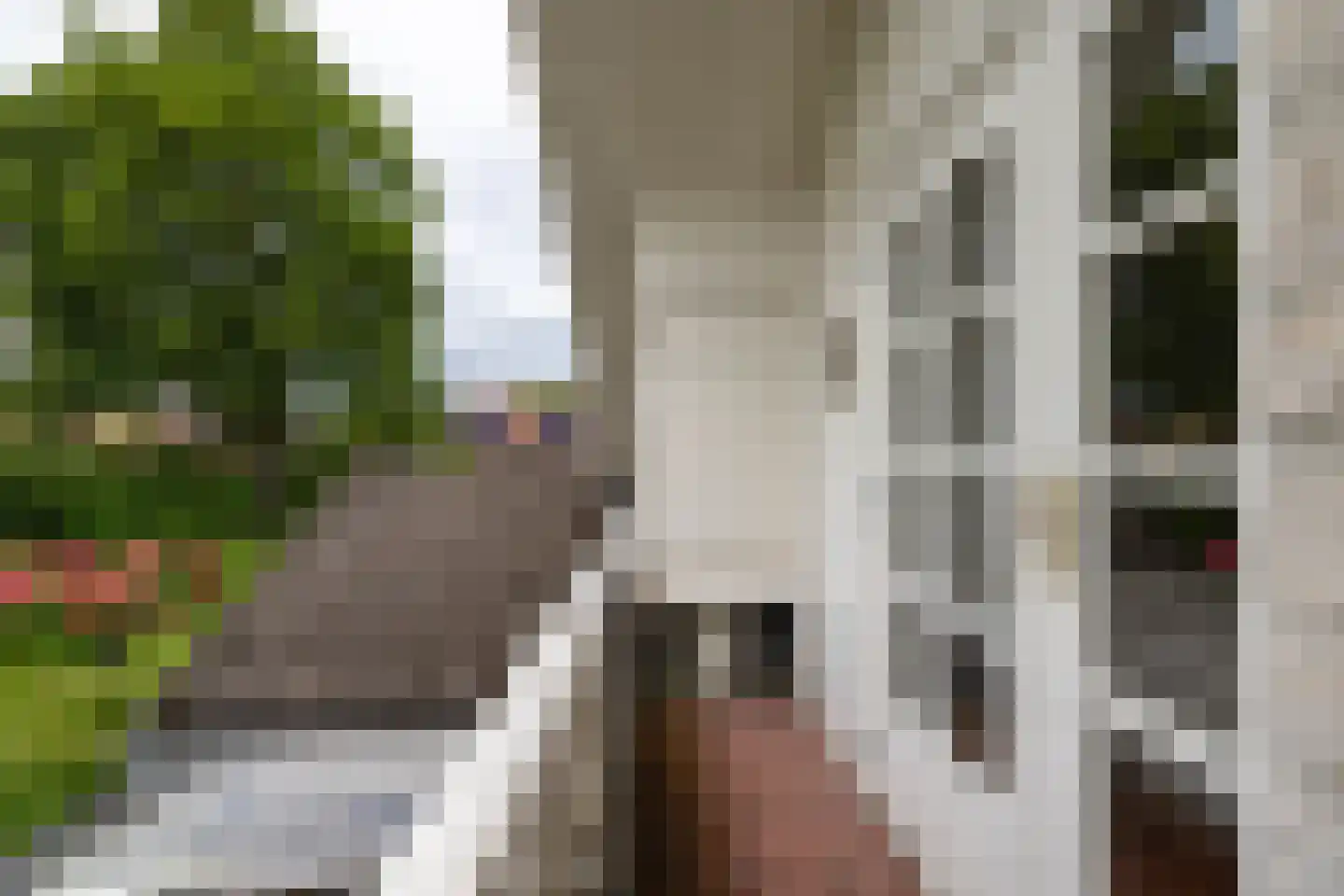Koninginnelaan 31 Doetinchem thumbnail 83
