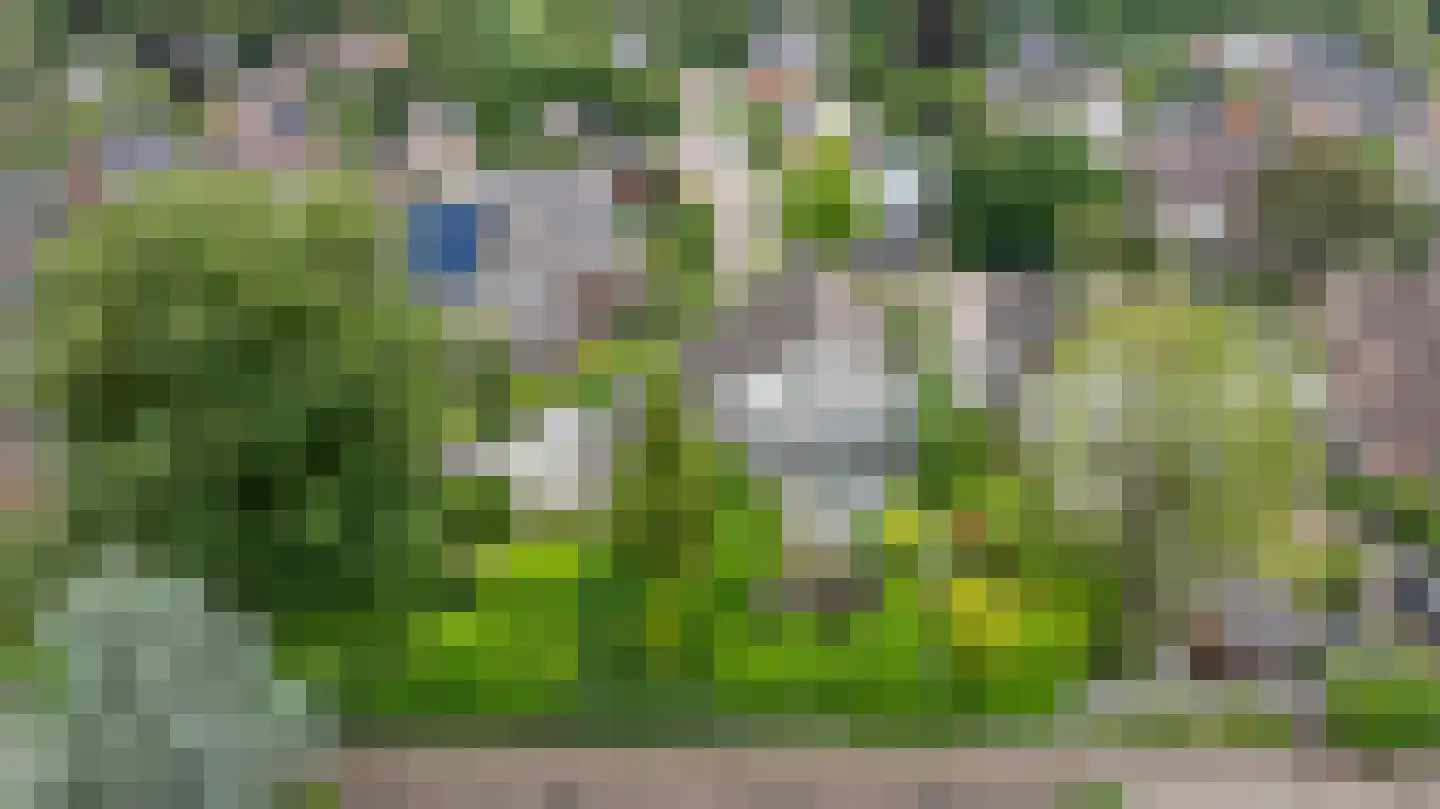 Koninginnelaan 31 Doetinchem thumbnail 86