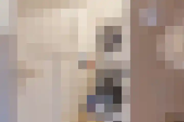 Koninginnelaan 32 A Soest thumbnail 22