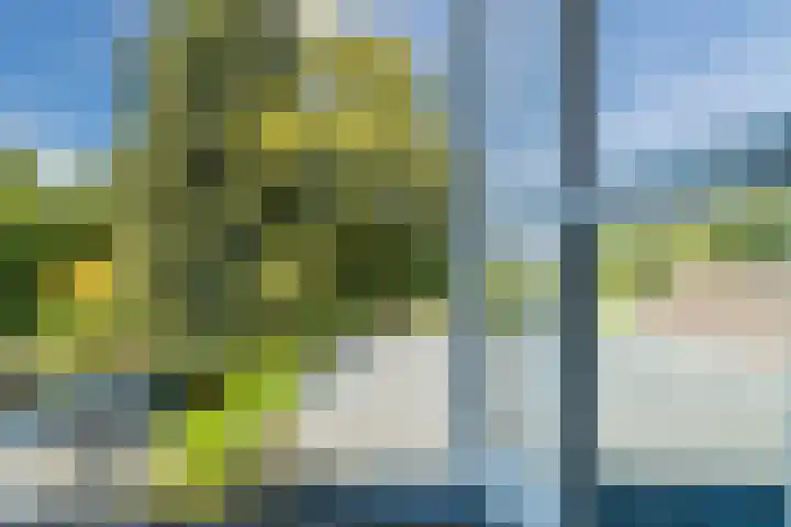 Koninginnelaan 32 A Soest thumbnail 33