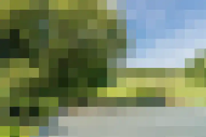 Koninginnelaan 32 A Soest thumbnail 34